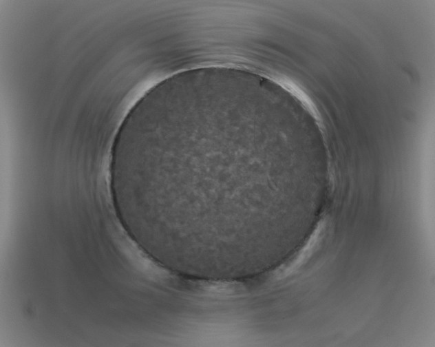 X0000113290899200909141202