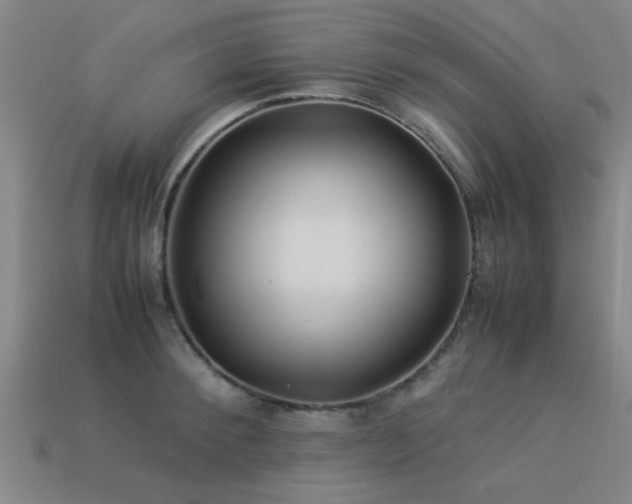 X0000113290900200909141202