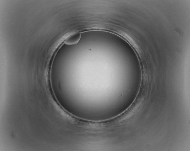 X0000113290901200909141202