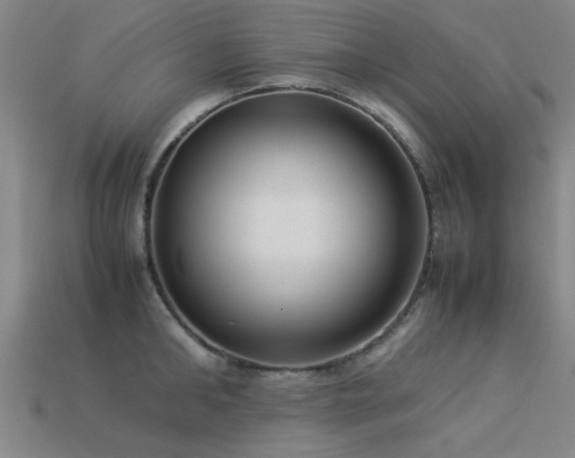 X0000113290902200909141202