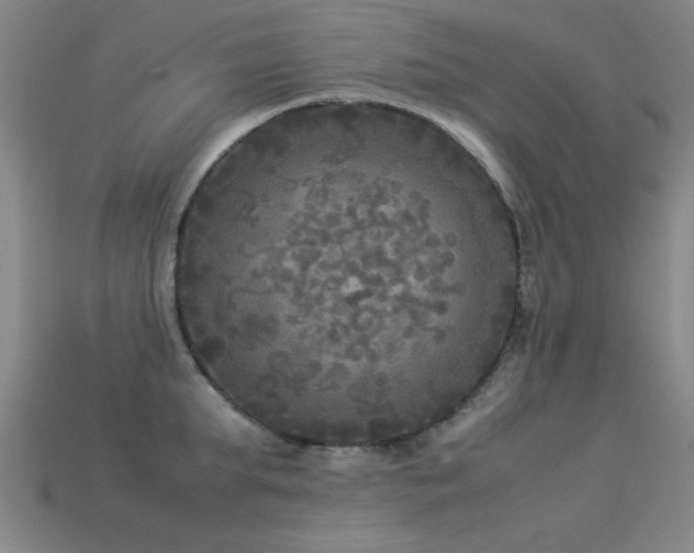 X0000113290903200909141202