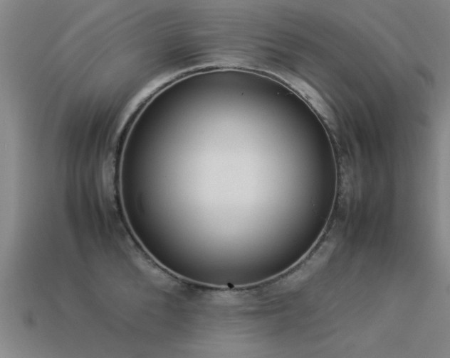 X0000113290904200909141202