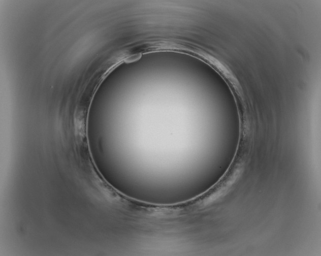 X0000113290905200909141202