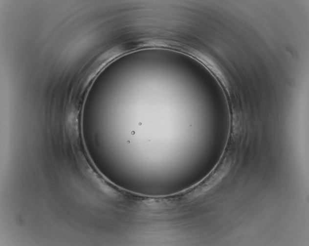 X0000113290906200909141202