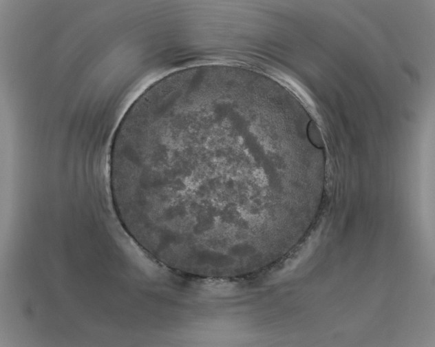 X0000113290907200909141202