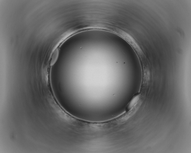 X0000113290908200909141202