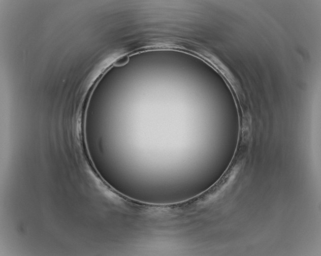 X0000113290909200909141202