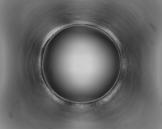 X0000113290910200909141202