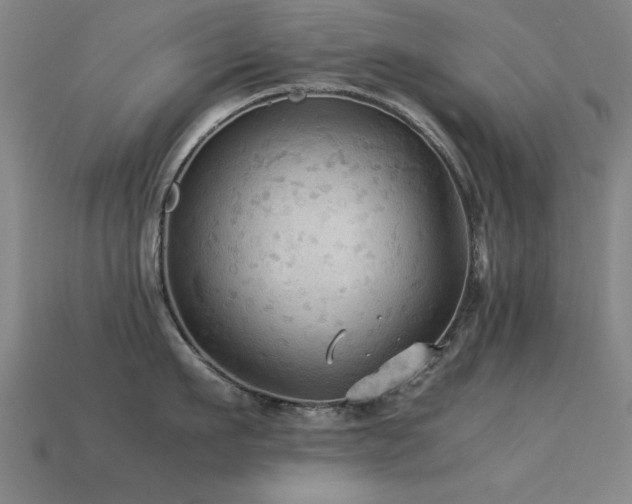 X0000113290911200909141202