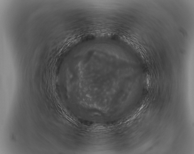 X0000113290913200909141201