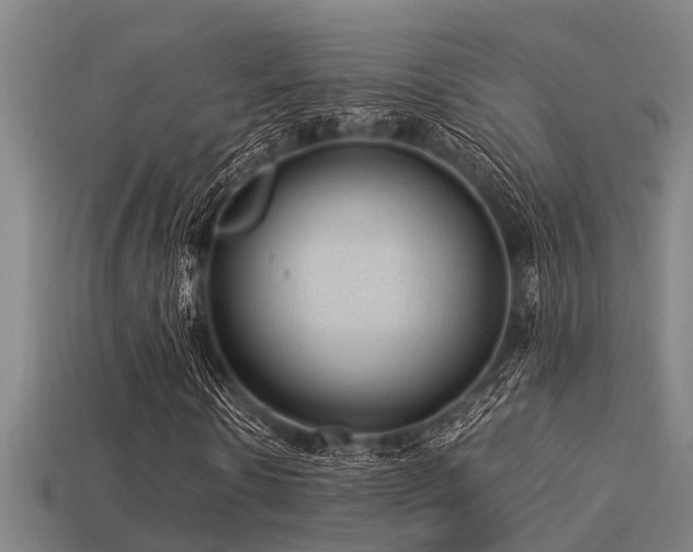 X0000113290914200909141201