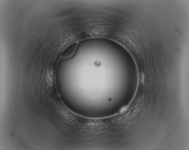 X0000113290915200909141201