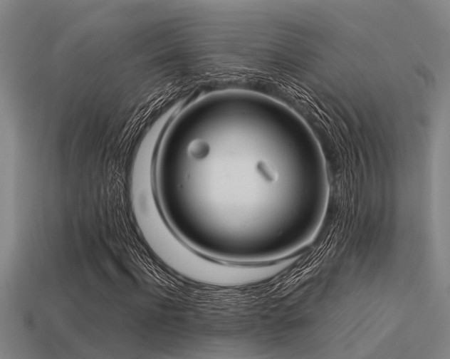 X0000113290916200909141201