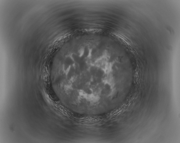 X0000113290917200909141201