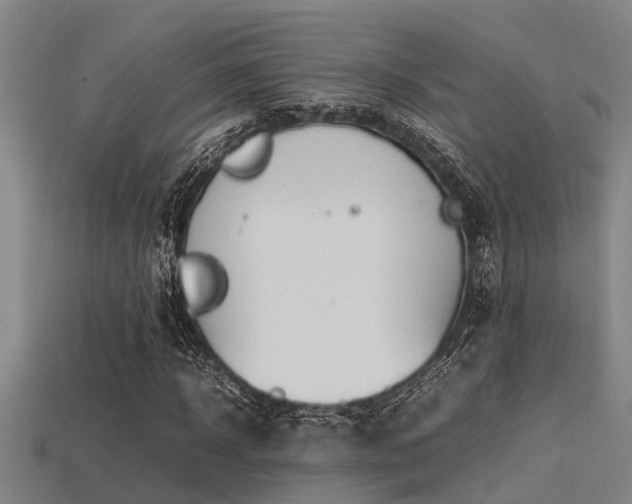 X0000113290918200909141201