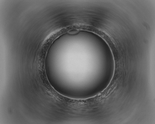 X0000113290919200909141201