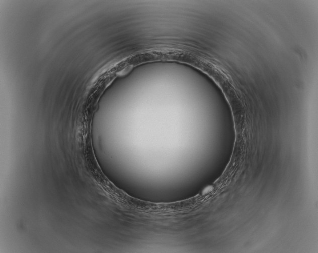 X0000113290920200909141201