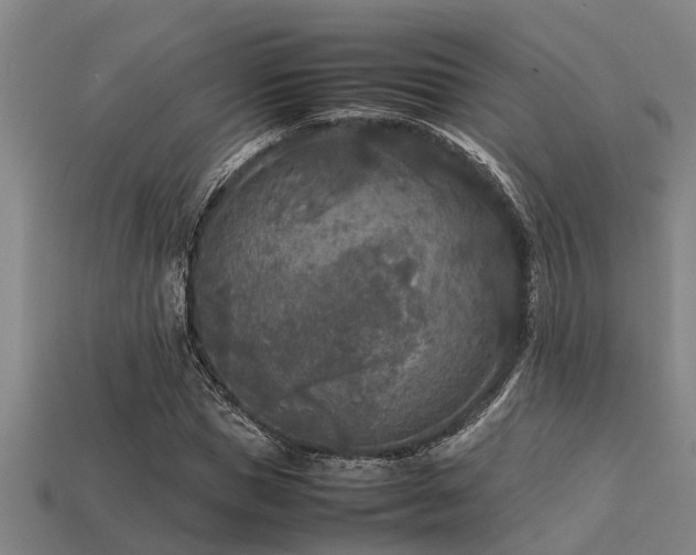 X0000113290921200909141201