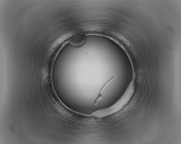 X0000113290922200909141201