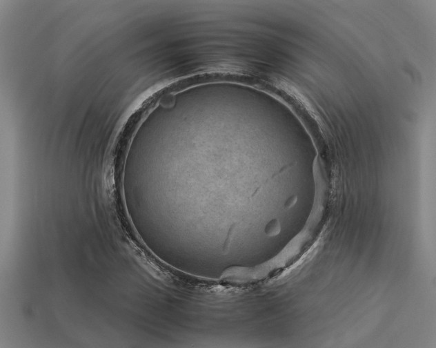 X0000113290923200909141201