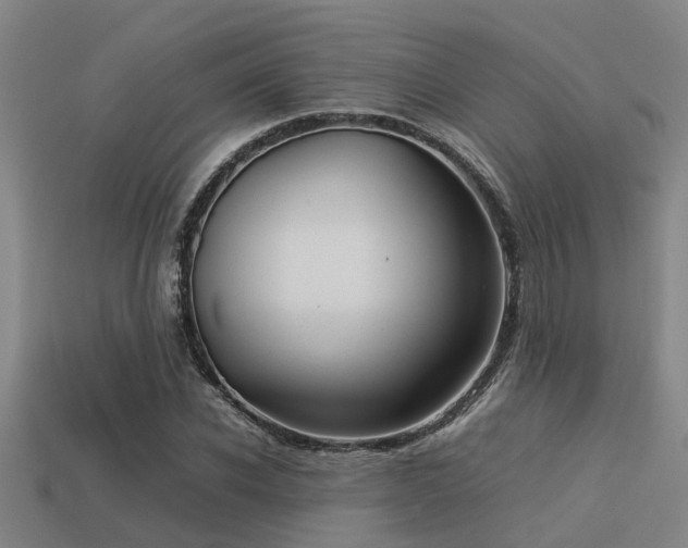 X0000113290926200909141201