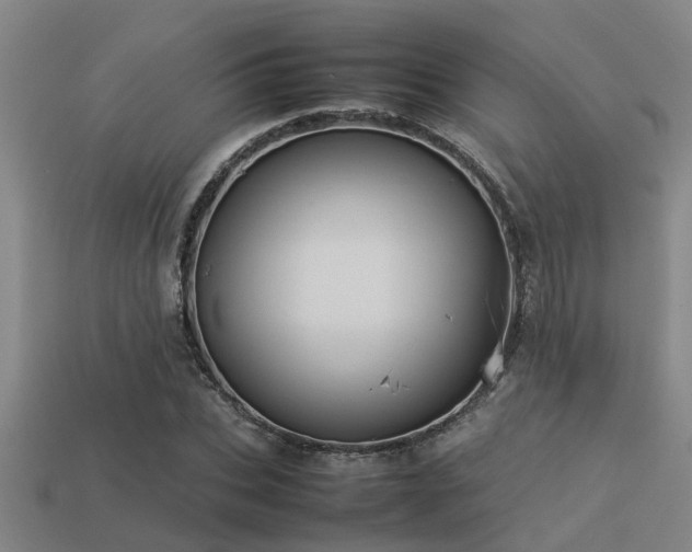 X0000113290927200909141201