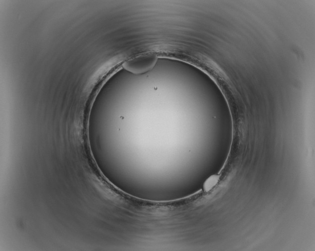 X0000113290930200909141201