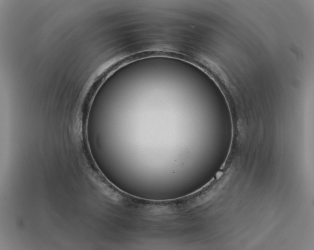 X0000113290931200909141201