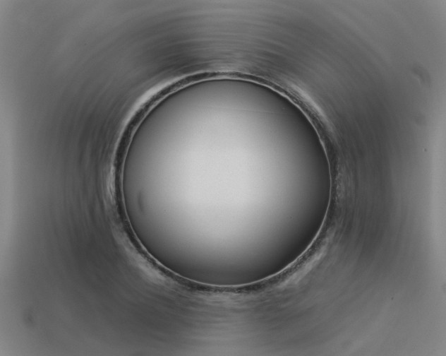 X0000113290932200909141201