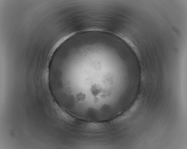 X0000113290933200909141201