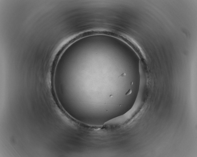 X0000113290935200909141201