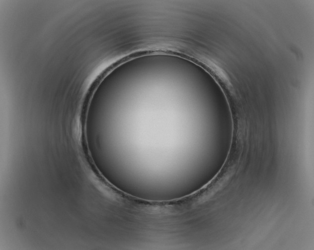 X0000113290936200909141201