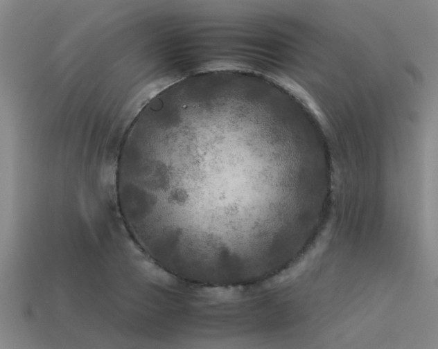 X0000113290937200909141201