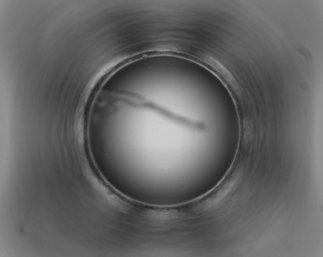 X0000113290939200909141201