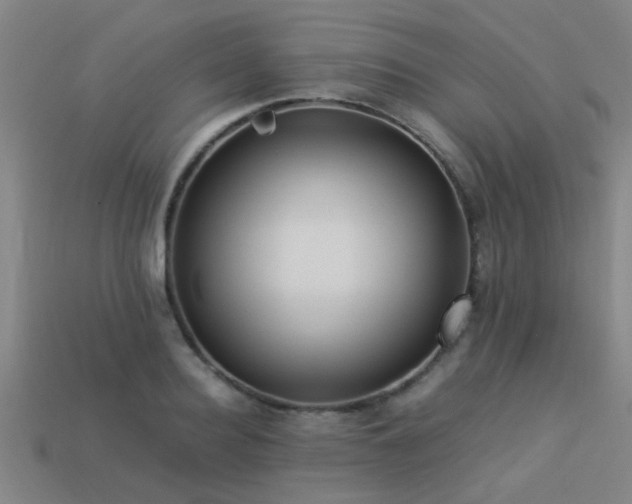 X0000113290940200909141201