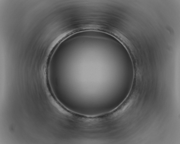 X0000113290941200909141201