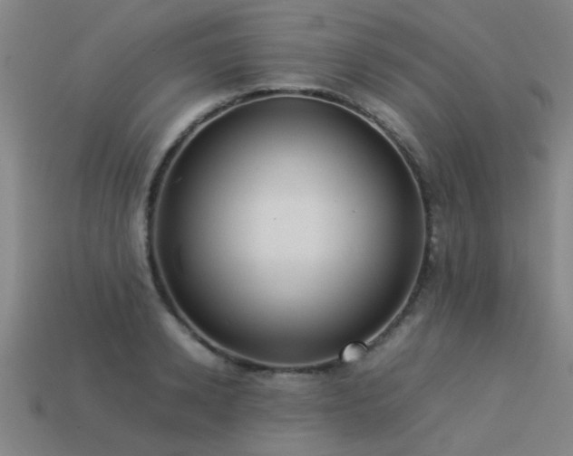 X0000113290942200909141201