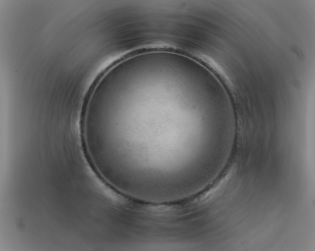 X0000113290943200909141201