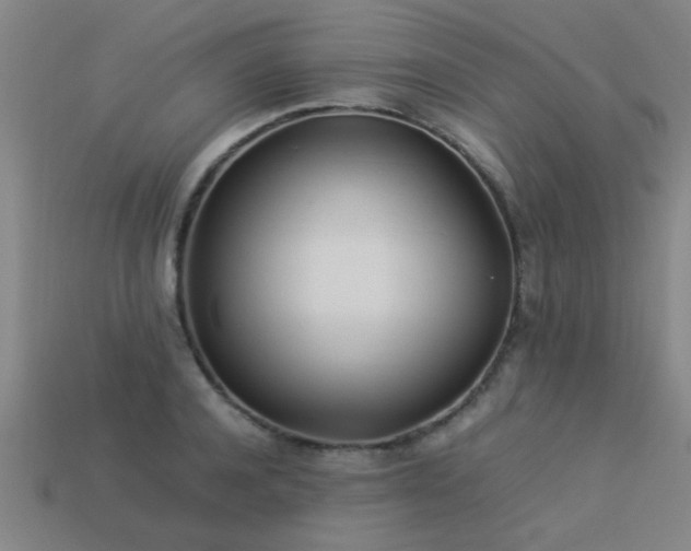 X0000113290944200909141201