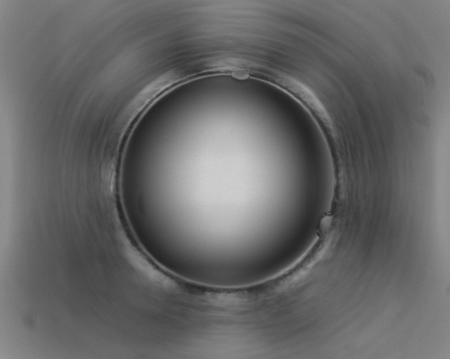 X0000113290946200909141201