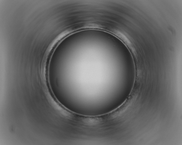 X0000113290947200909141201