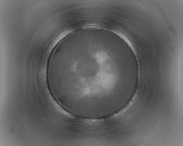 X0000113290949200909141201