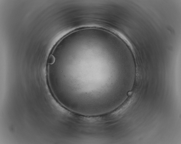 X0000113290951200909141201