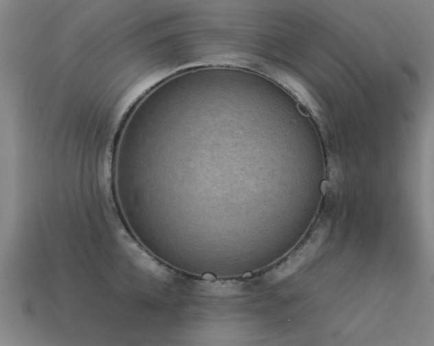 X0000113290952200909141201