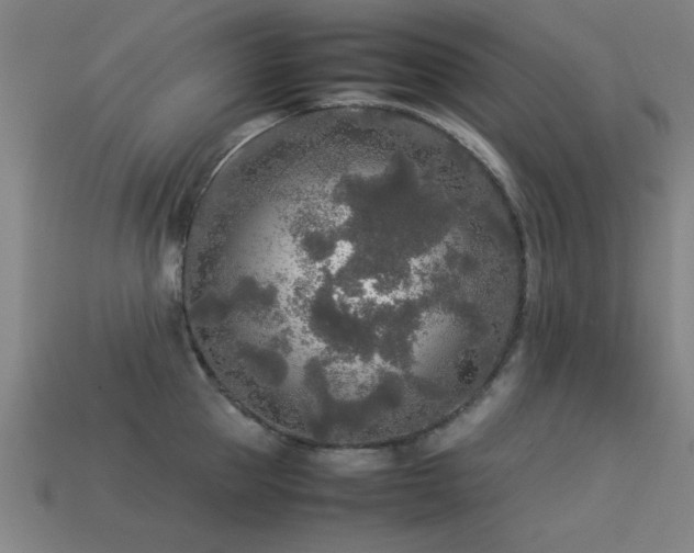 X0000113290953200909141201