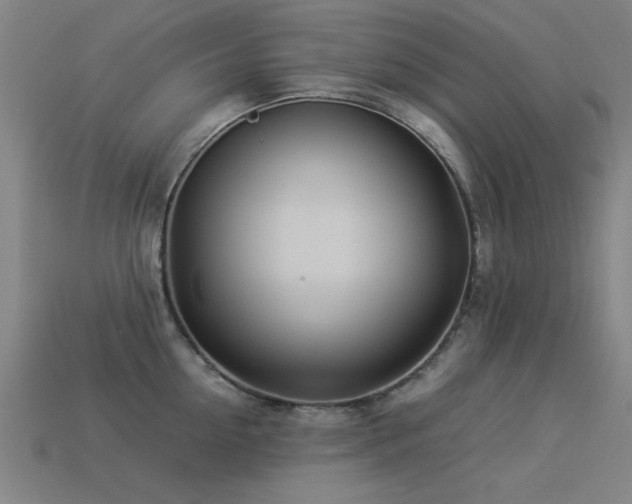 X0000113290954200909141201