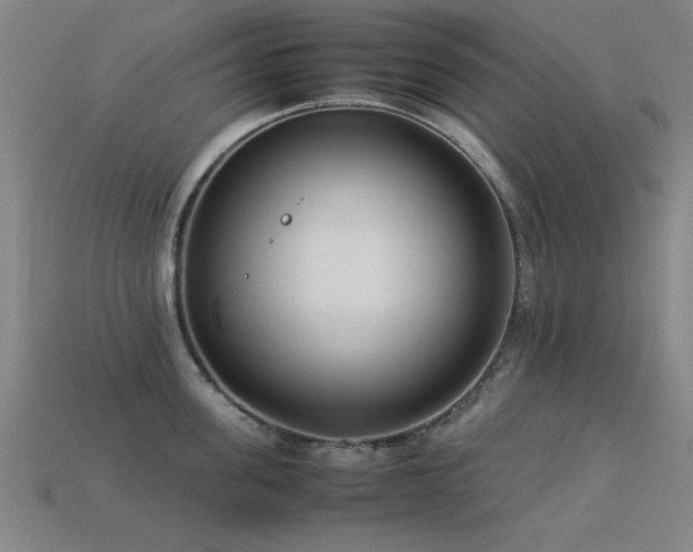 X0000113290955200909141201