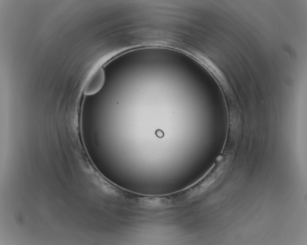 X0000113290956200909141201