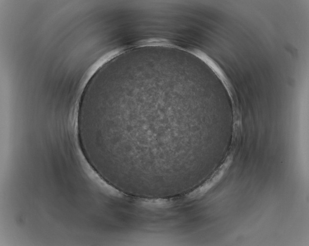 X0000113290957200909141201