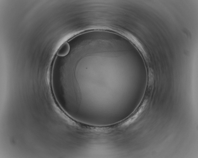 X0000113290958200909141201